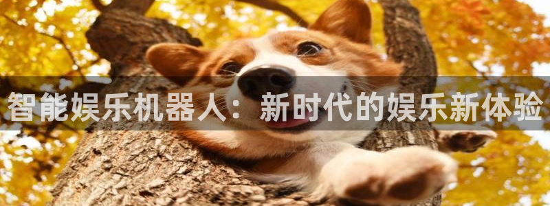 红足一1世平台：智能娱乐机器人：新时代的娱乐新体验