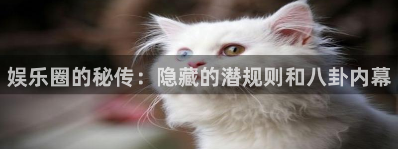 红足1世新：娱乐圈的秘传：隐藏的潜规则和八卦内幕